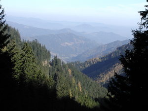 Landschaftsfoto